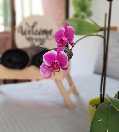 Moradia Laureles Medellin Apartment ภายนอก รูปภาพ